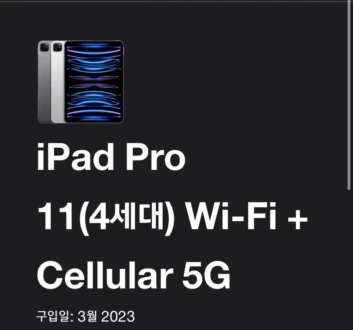 아이패드 프로 11 4세대 Wi-Fi + Cellular 5G 256기가