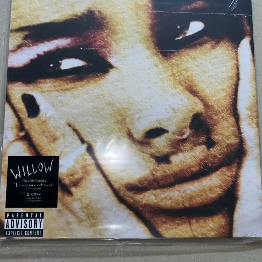 willow 윌로우 엘피 lp 바이닐