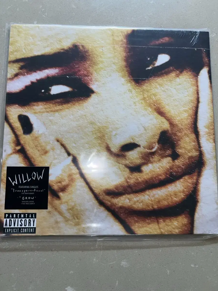 willow 윌로우 엘피 lp 바이닐