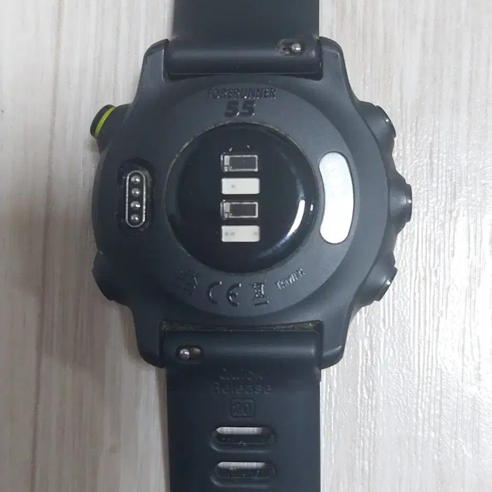 garmin 포러너55