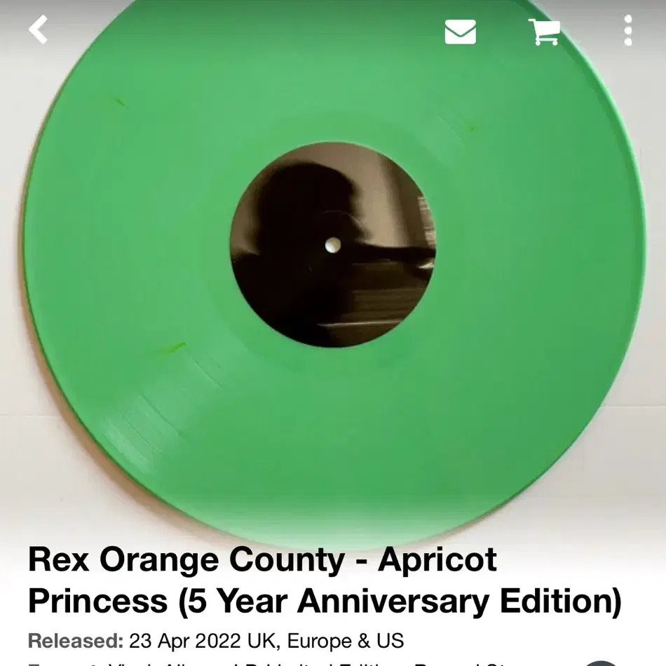 rex orange county 렉스오렌지카운티 rsd22 lp 바이닐