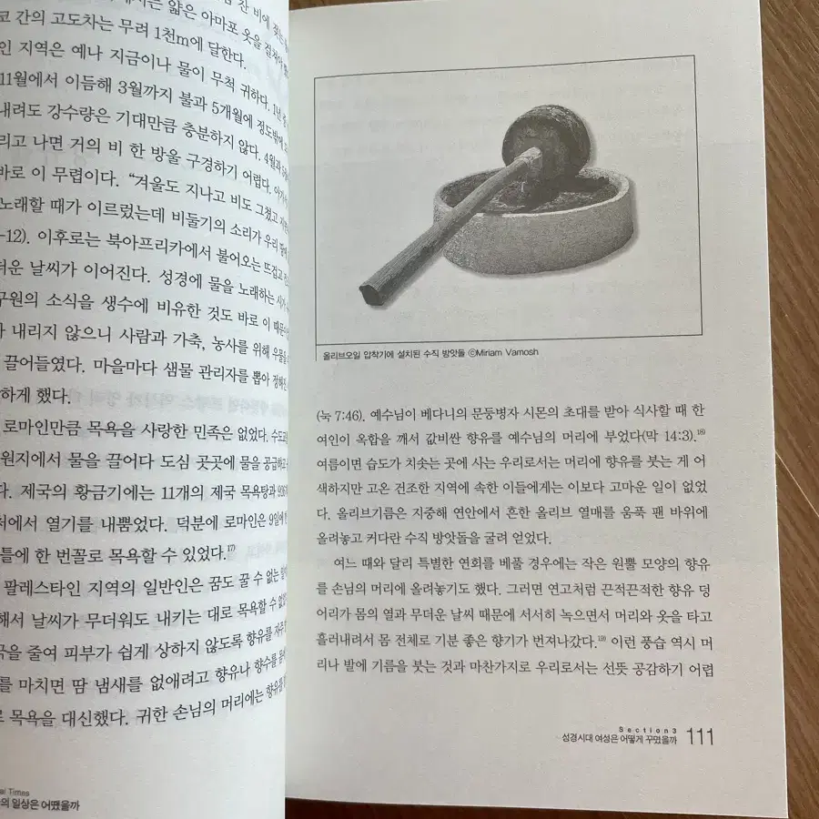 성경시대 사람들의 일상은 어땠을까 (통합본)