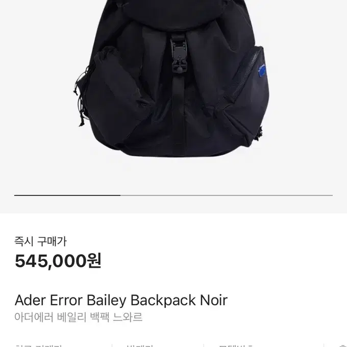 Ader 아더에러 백팩 (럭색) 팝니다