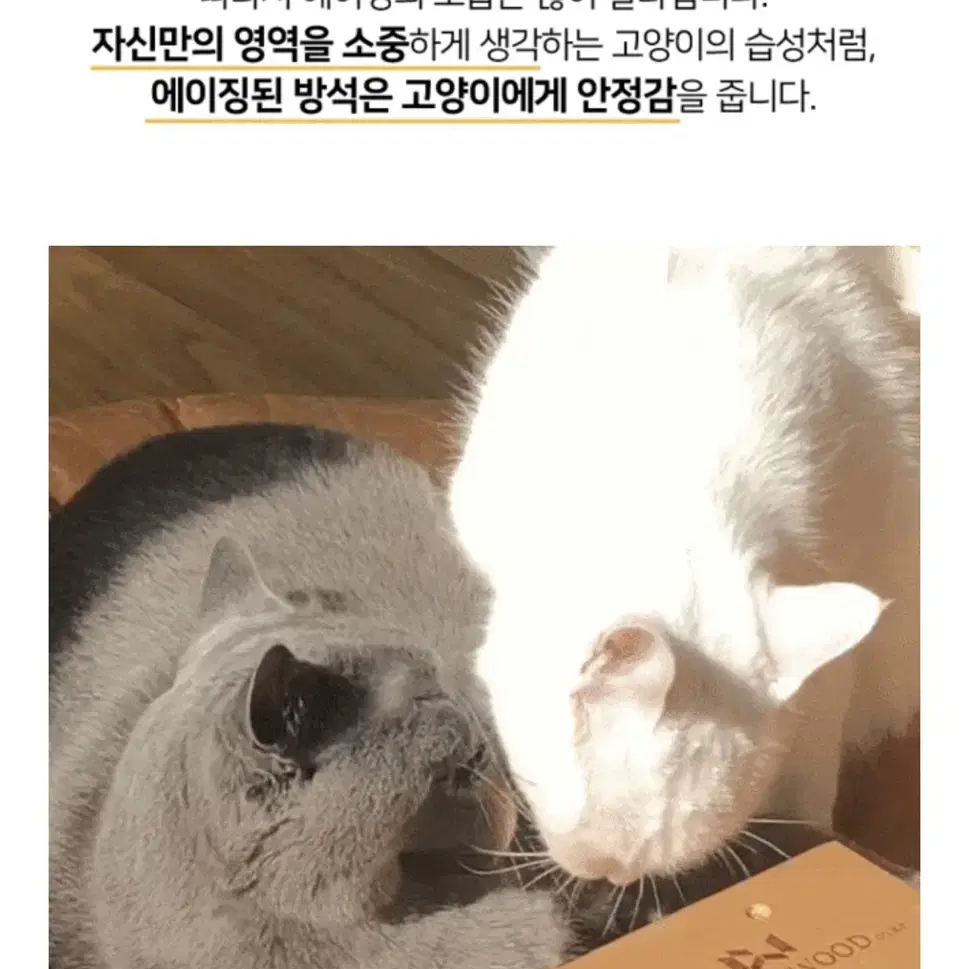 [집에가야돼] 반려동물 애착방석