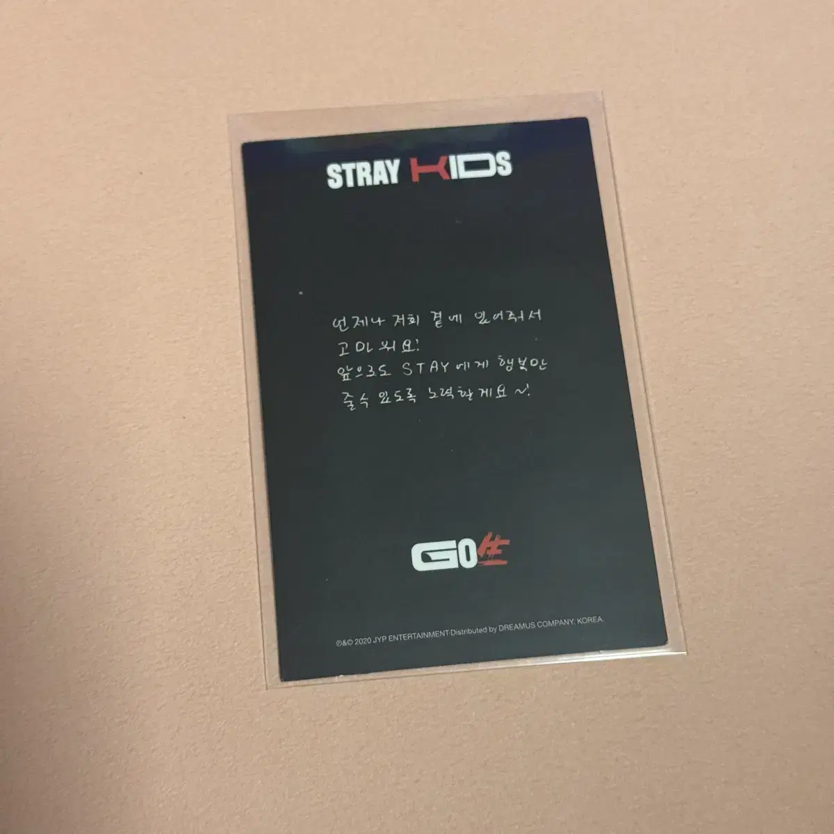 한 고생 포카 스트레이키즈 한지성 스키즈 포토카드 straykids