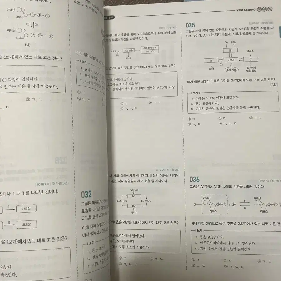 백호 개념완성 문제편(새상품)