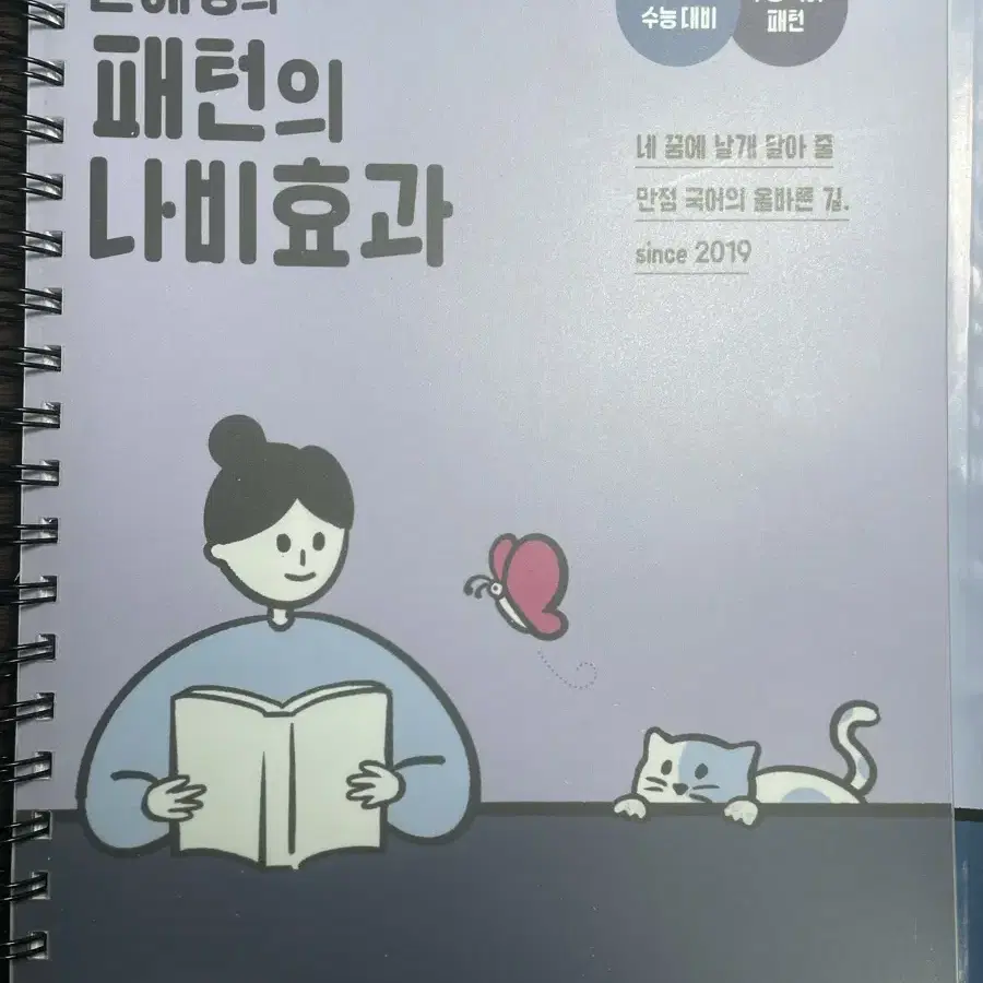 수능국어 개념서 정리합니다_윤혜정 패턴의나비효과, 국정보