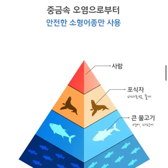 미개봉)강아지 고양이 알티지 오메가3 30캡슐 싸게 팔아요