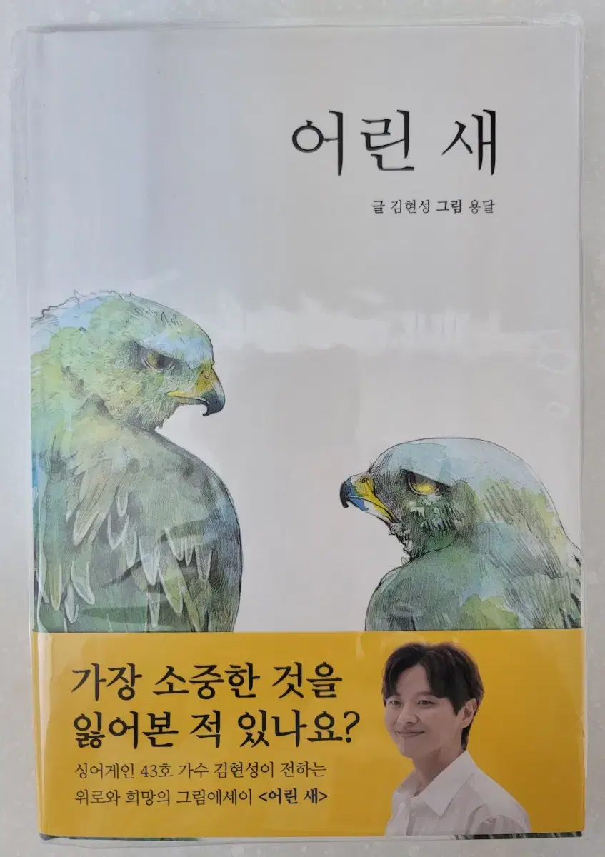 김현성 에세이 어린 새