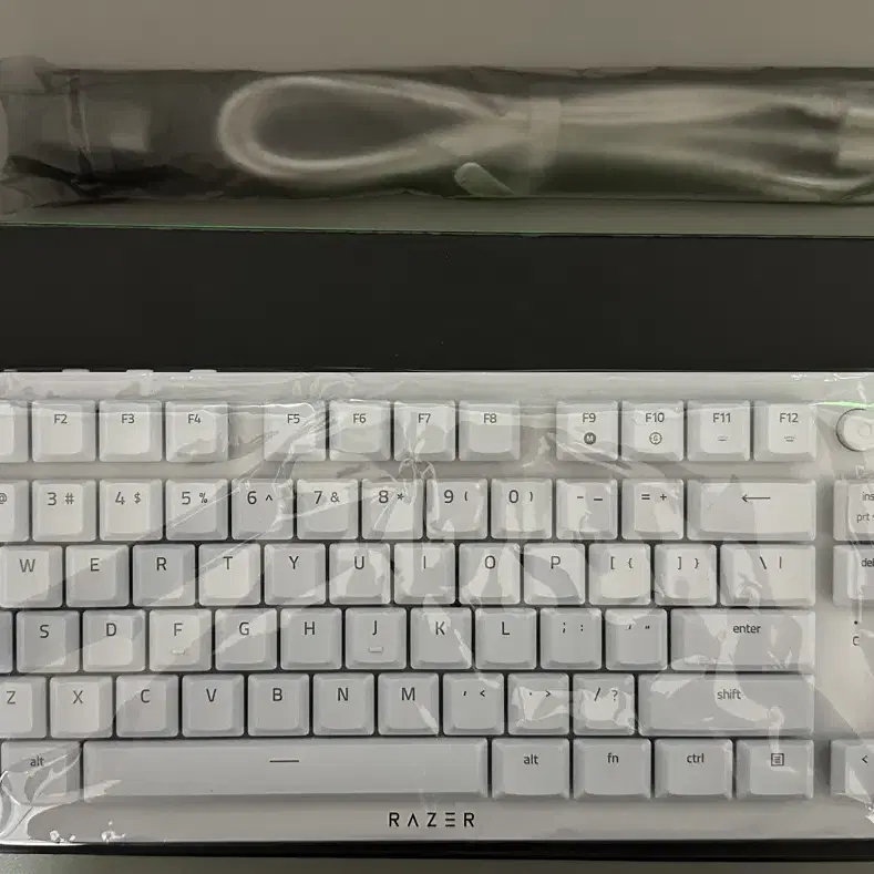 레이저 데스스토커 V2 pro tkl 화이트 팝니다