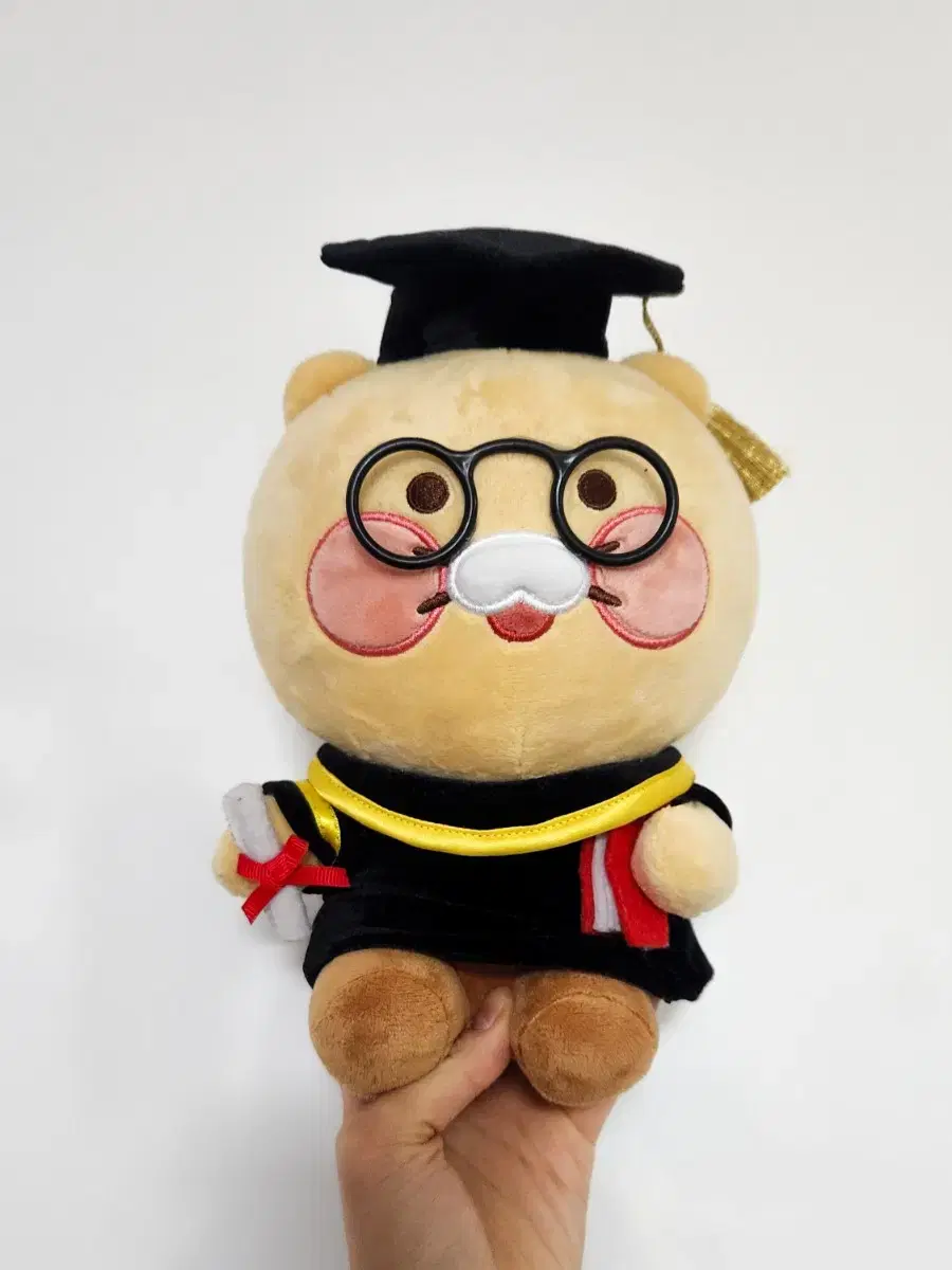 Chun-sik's graduation mortarboard doll (good for photos at graduation ceremonies)