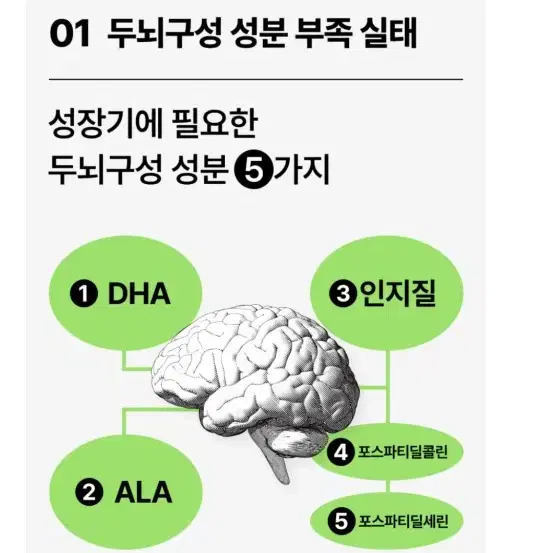 지니어스뉴 두뇌성분제DHA ALA 영양 제품