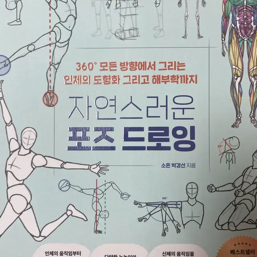 자연스러운 인체 드로잉, 자연스러운 포즈 드로잉 판매