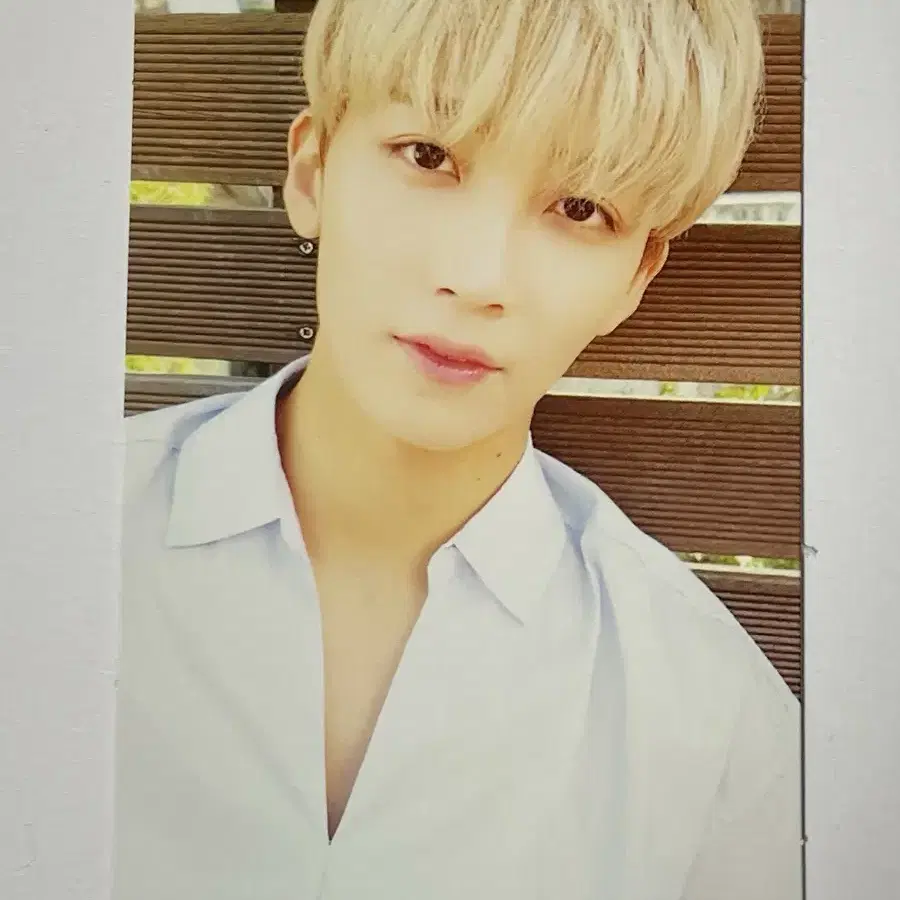 세븐틴 svt 정한 박화윤 박수 화이트 포토카드 양도