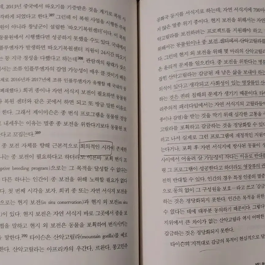 동물 윤리 대논쟁