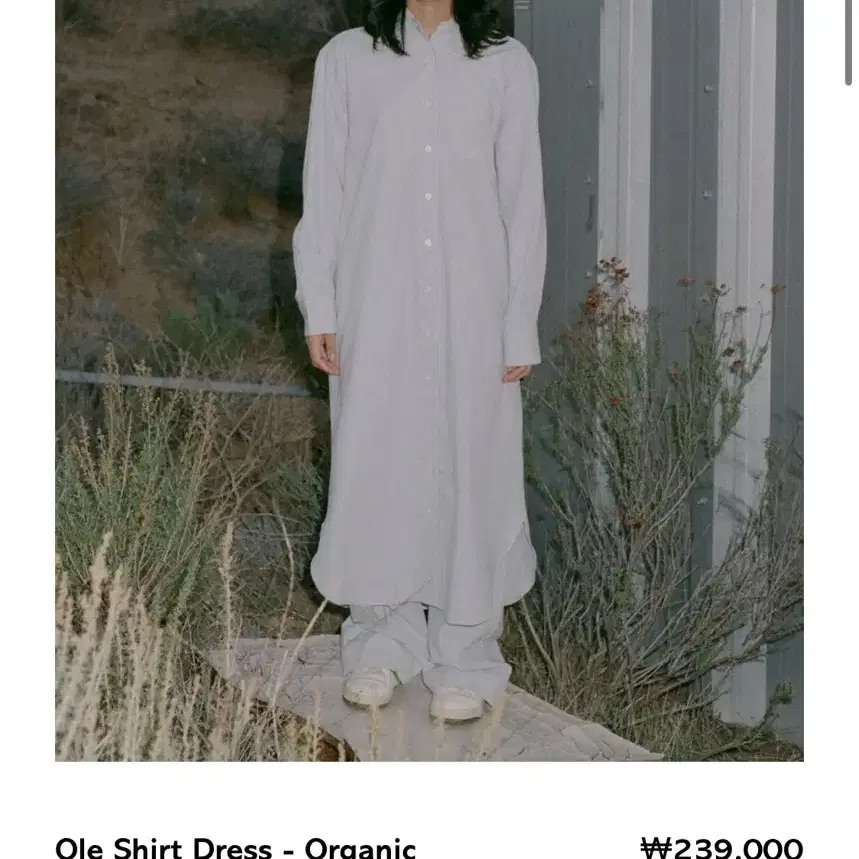 베이스레인지 ole shirt dress xs