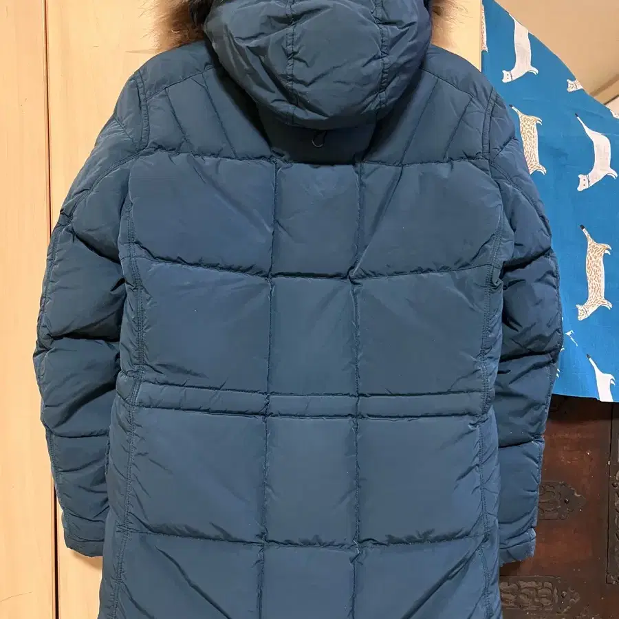 CP company 여성 파카