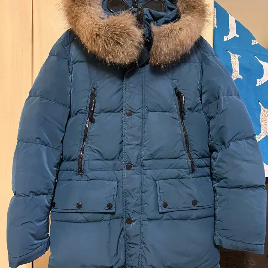 CP company 여성 파카