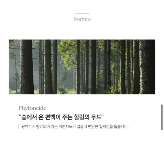 미개봉// 마르마르디 '촉촉 감성 향기' 핸드크림 & 비건 립밤 세트