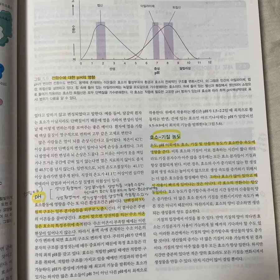 생명과학 14판