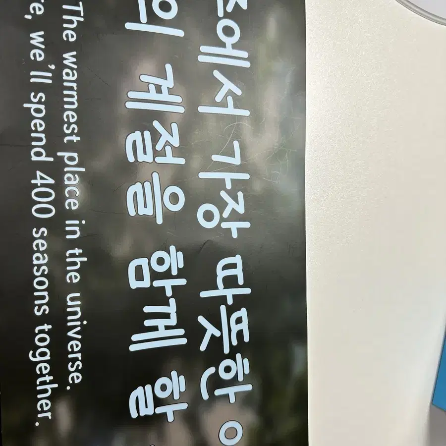 보넥도 낙온 막콘 슬로건 양도합니다