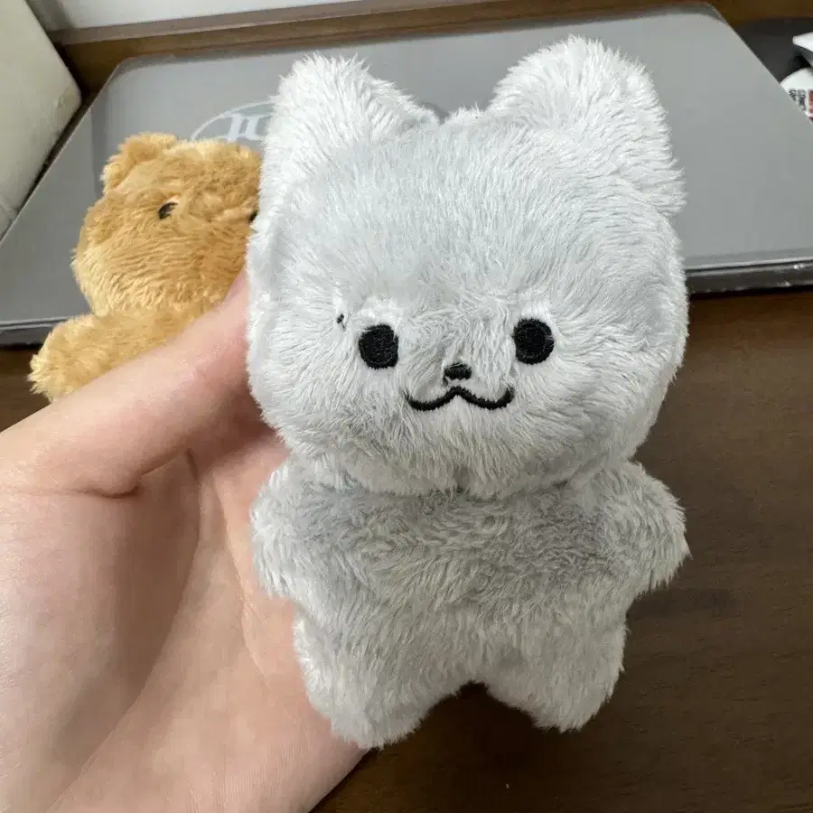 달곰 쥬냥 양도해요