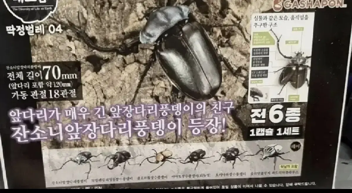 반다이 생물대도감 4탄 딱정벌레 미개봉 새상품 개별판매 피규어 곤충 토이