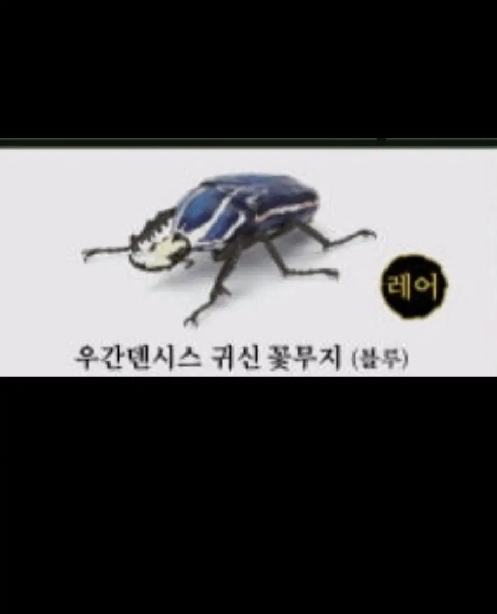 반다이 가챠 캡슐 생물대도감 딱정벌레 6 우간덴시스 귀신 꽃무지 블루