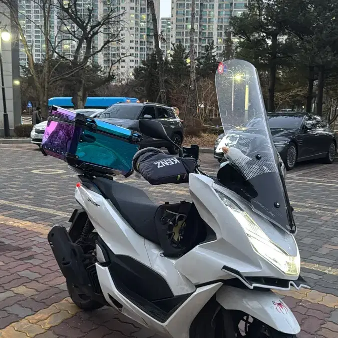 Pcx 순정시트