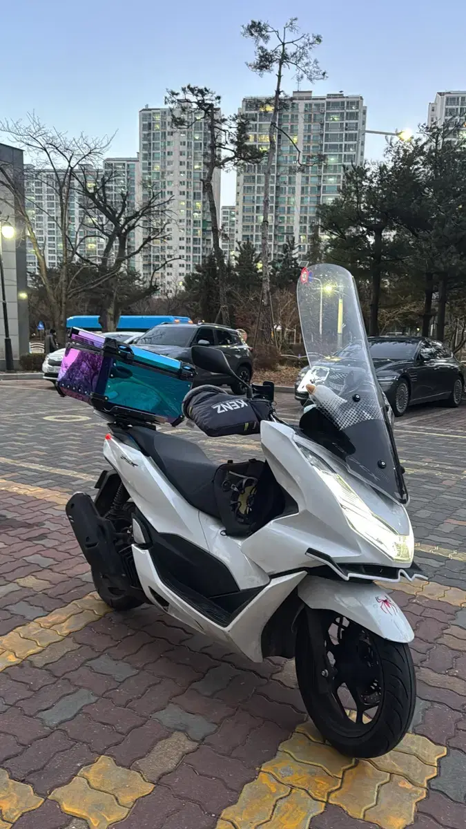 Pcx 순정시트