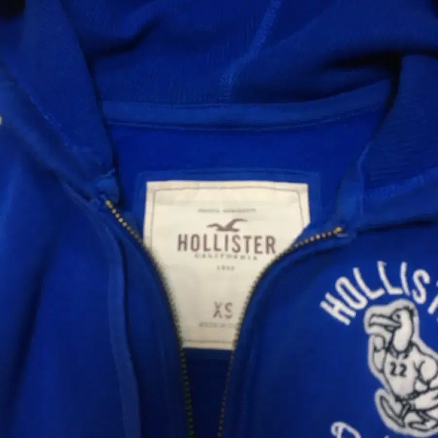 (착샷) Hollister Logo Slim Hoodie Zip-Up