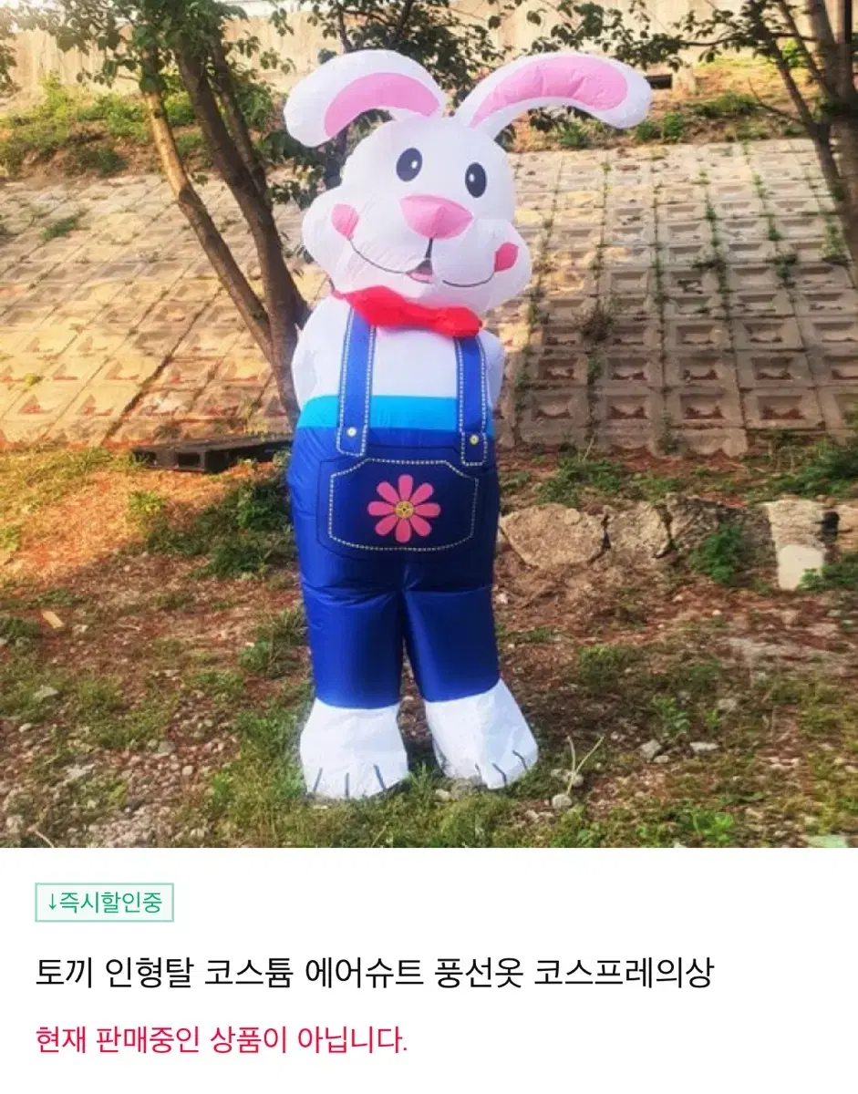 토끼 에어수트 인형탈 풍선탈 풍선옷