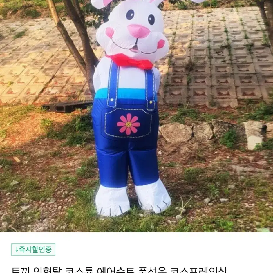 토끼 에어수트 인형탈 풍선탈 풍선옷