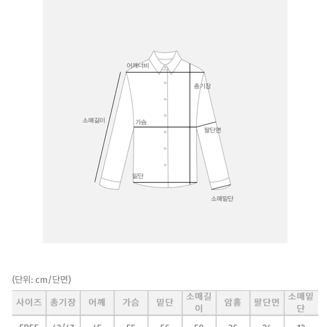 육육걸즈 셔츠 니트베스트 세트