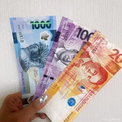 Philippine Peso (24.7 won per 1 peso)