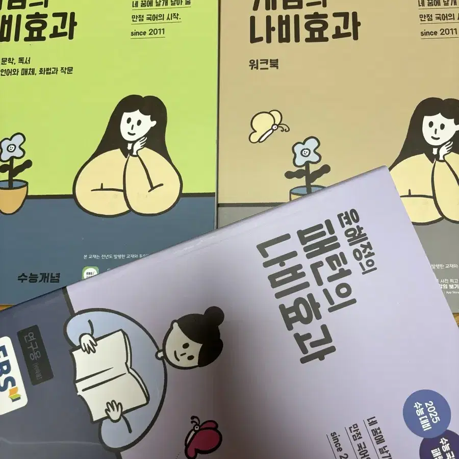 윤혜정의 개념의 나비효과 패턴의 나비효과 워크북 2025 수능 국어