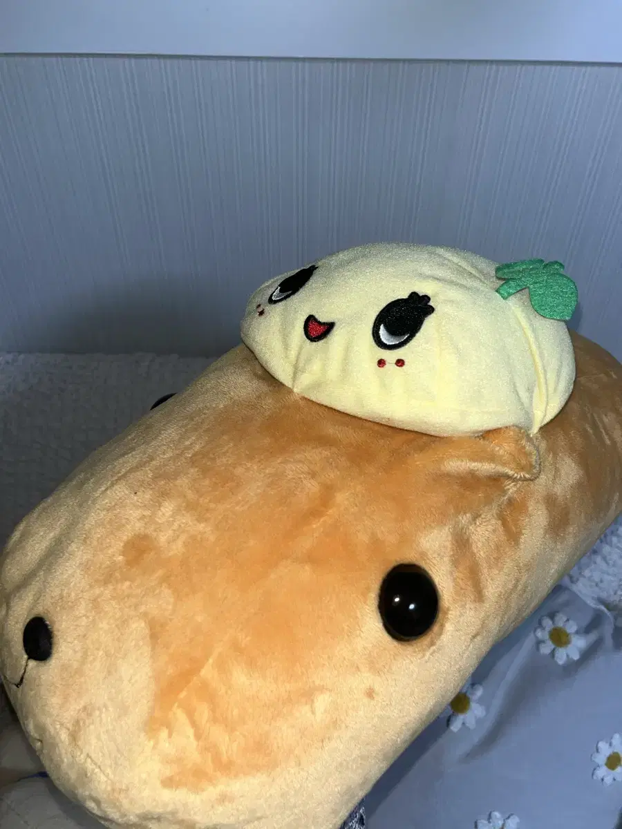 카피바라상 후낫시 인형 (30cm)