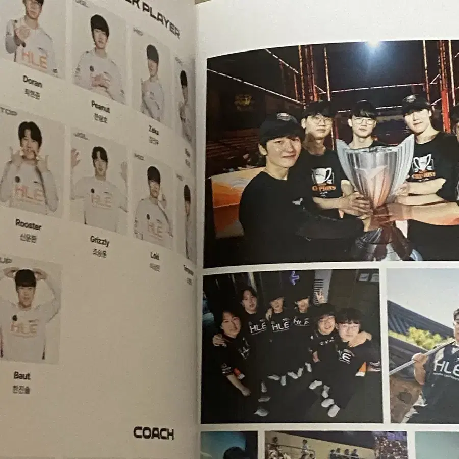 LCK 2024 Photo Album 포토앨범 / T1 GEN.G HLE