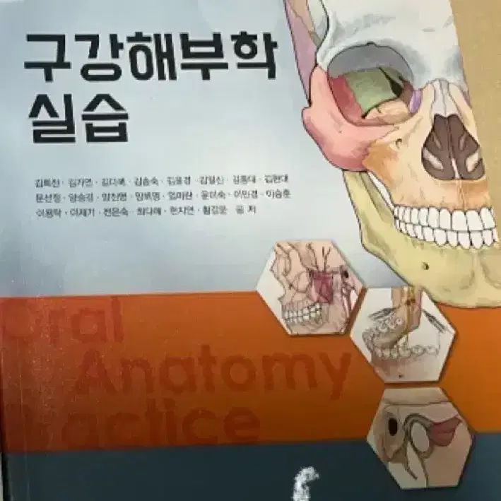 구강해부학 실습 치위생학과 교재 고문사