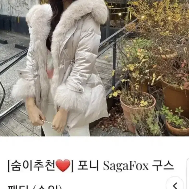 헤이에스 사가폭스 글로시패딩