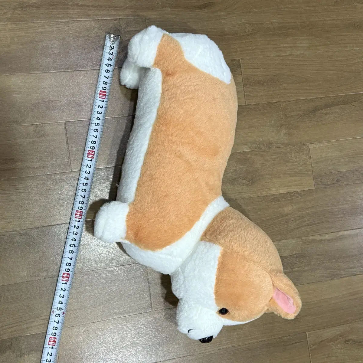 웰시코기 인형 약 50cm 새상품