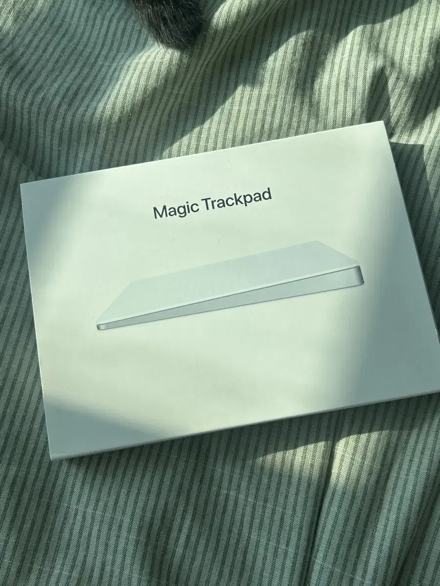 애플 Magic trackpad 2