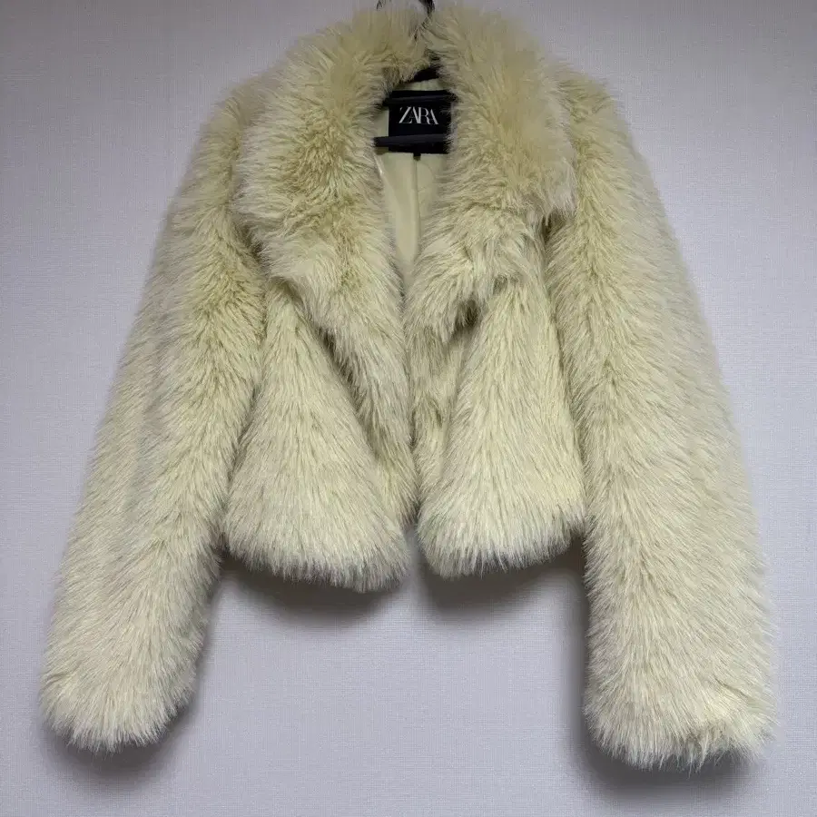 Zara fur