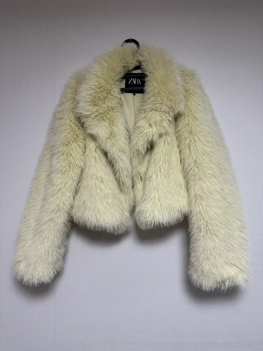 Zara fur