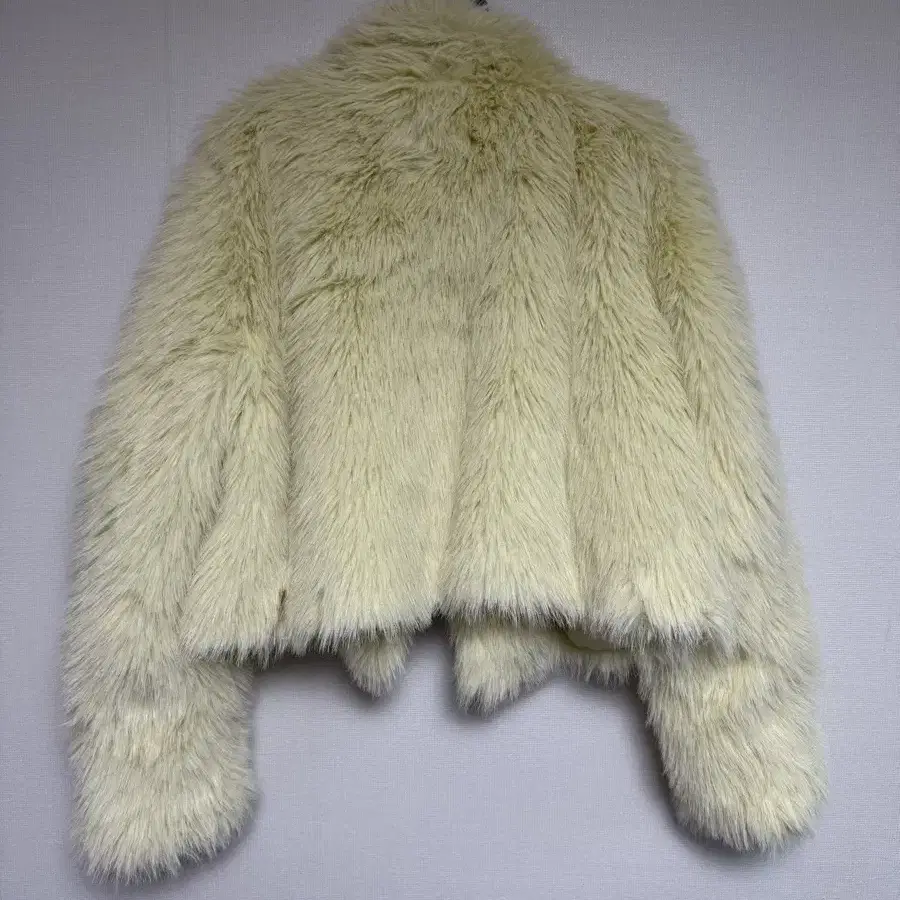 Zara fur