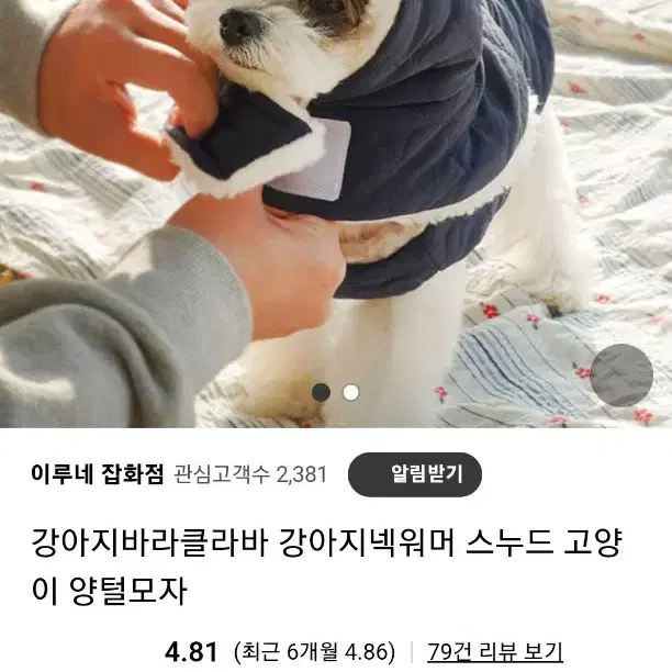 강아지 바라클라바 s사이즈 이루네잡화점