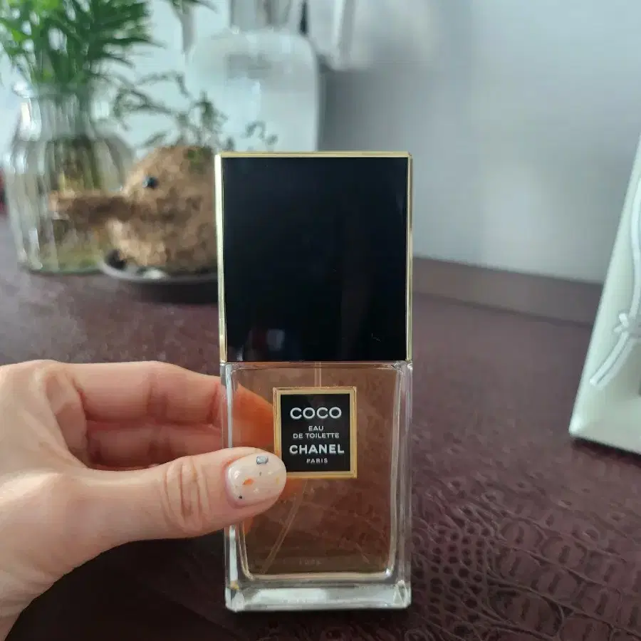 샤넬 코코 EDT 50ml