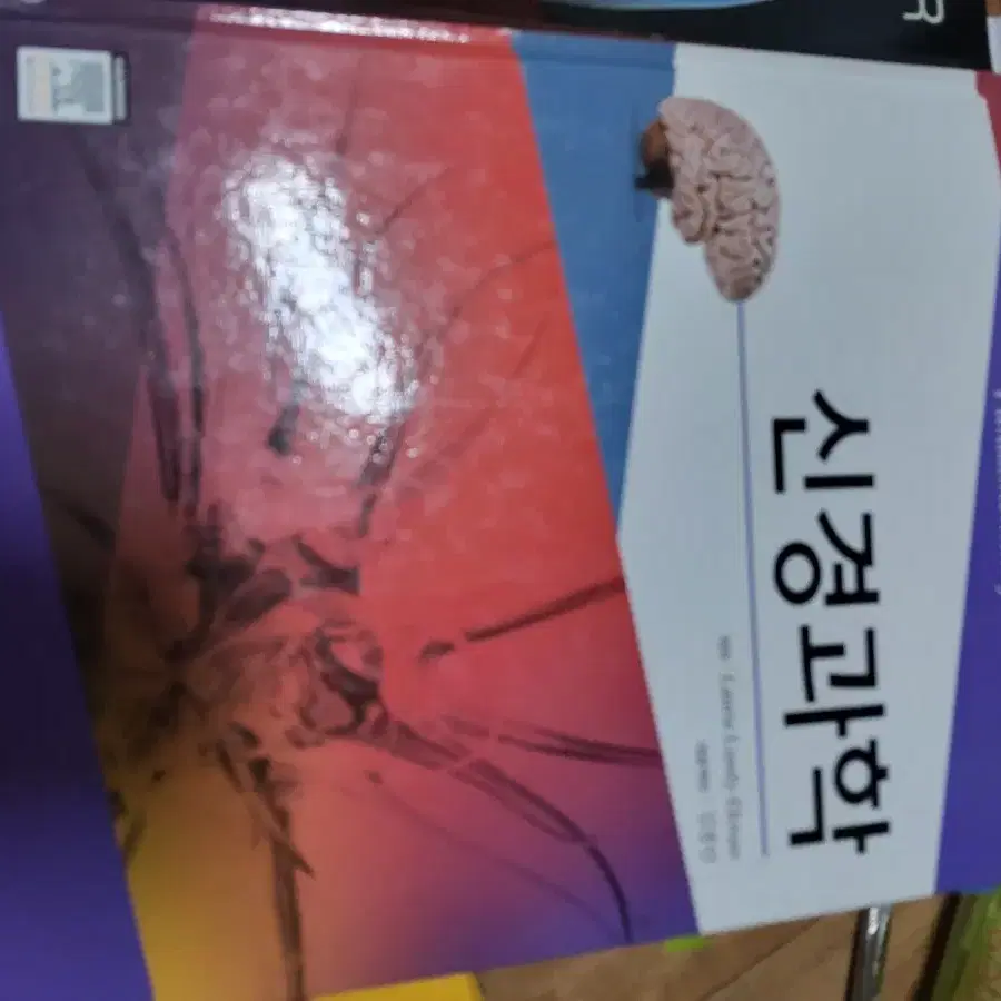 물리치료