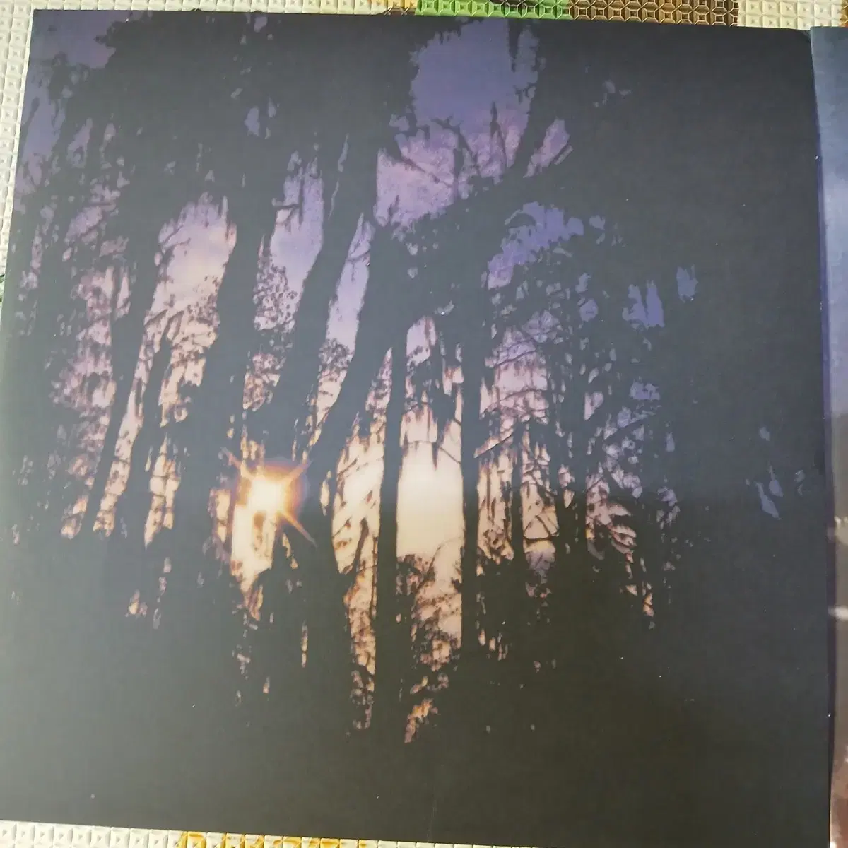 Lp중고 BEACH HOUSE - BLOOM 2LP 음반 판매합니다.