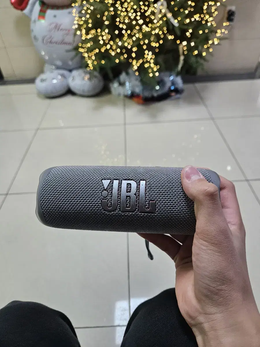 JBL FLIP6